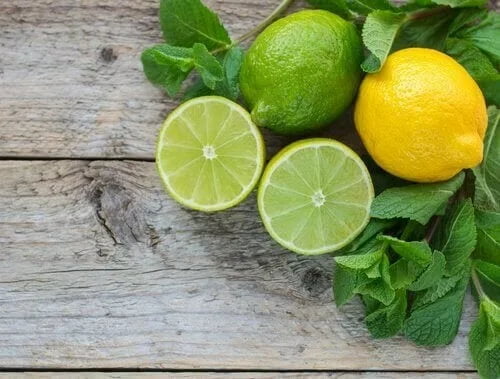 لیمو ترش جهرم تازه طراوت باغ‌ های فارس در هر دانه